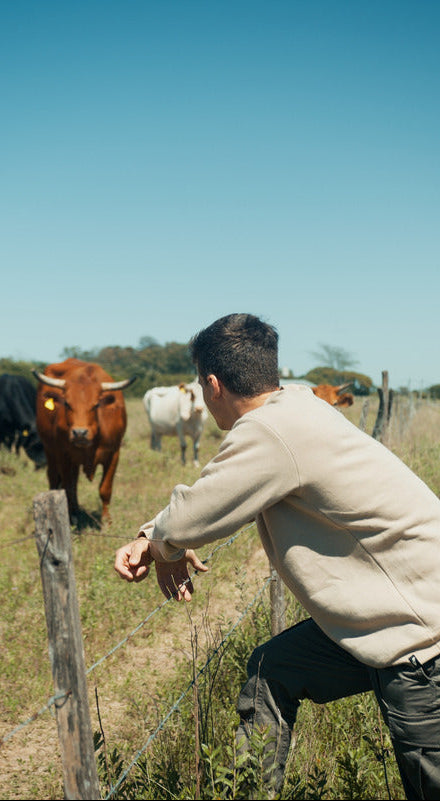 Buzo Clásico Arrayán