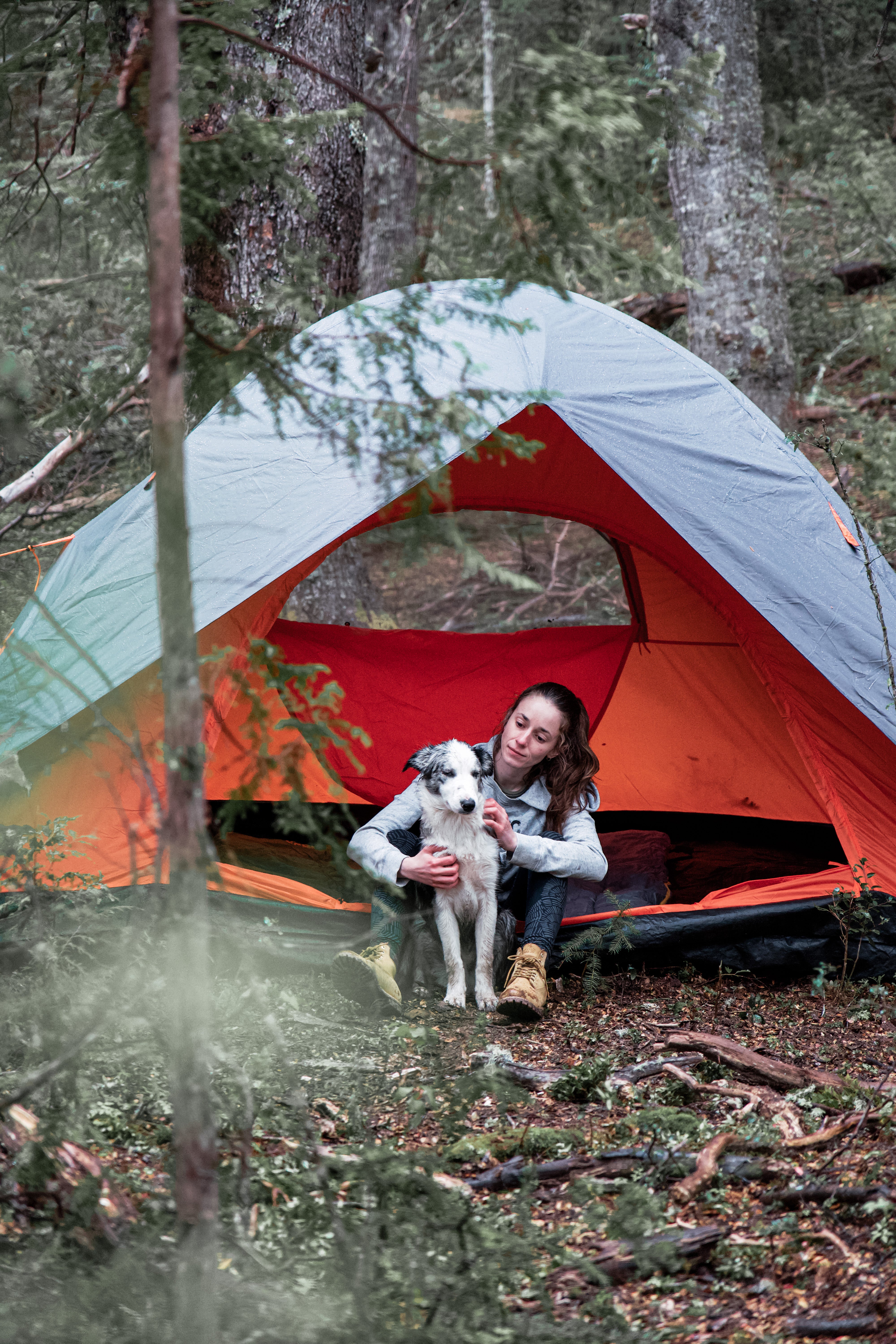 Carpa Dome 7