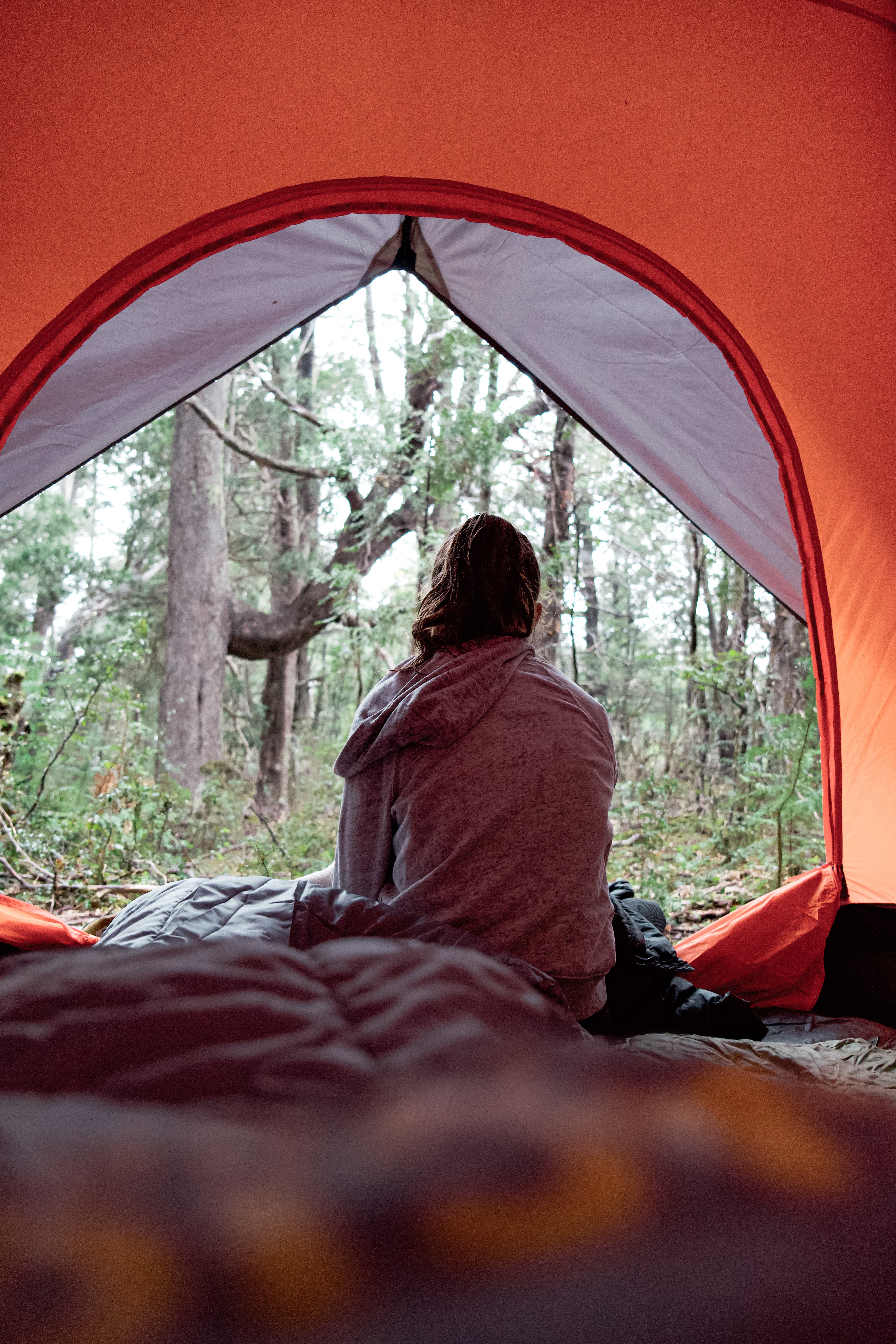 Carpa Dome 7